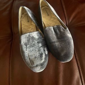 Birdies Starling in Velvet Gray